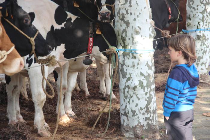 Herritarren salerosketarako  31 1509290446208