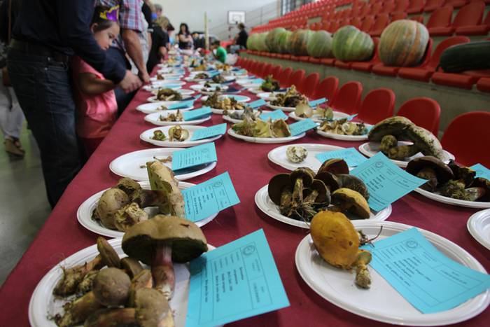 Hutsik egiten ez duen azoka berezia 2 1474813002104