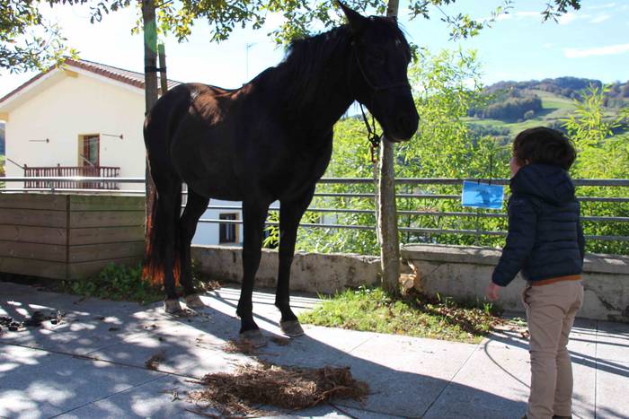 Azoka eguna ospatu dute Bera 25 1541345742543