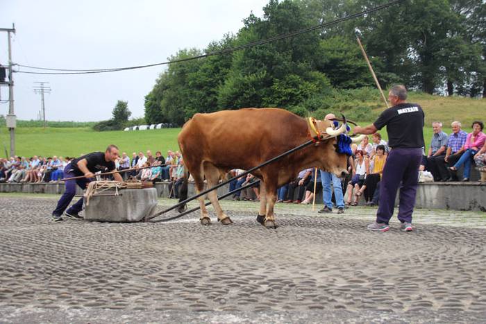Hurrengo Ama Birjinari begira 36 1471367003194