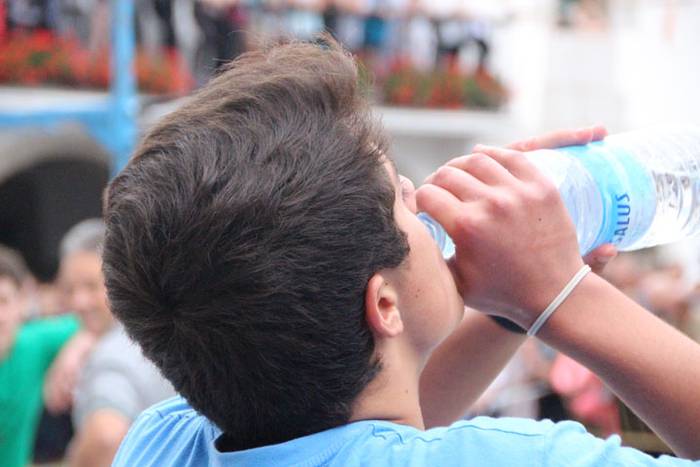 Zaldi gainean lasterka Abalt 64 1498413394120