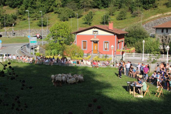 Artzaina eta txakurraren artea Amezketan 8 1472322316214