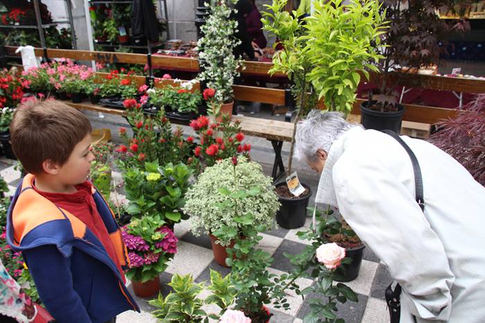 Eta liliek Tolosa ere amets 27 1495290351268