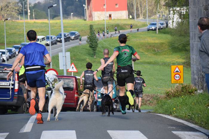 III. Txakur Krosa, Zizurkil 6 1523728626585