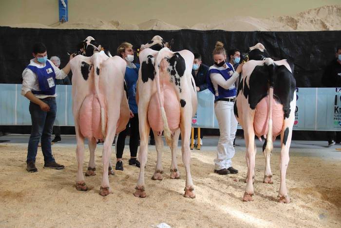 XII. Euskal Herriko Frisoi T 30 1637418676334