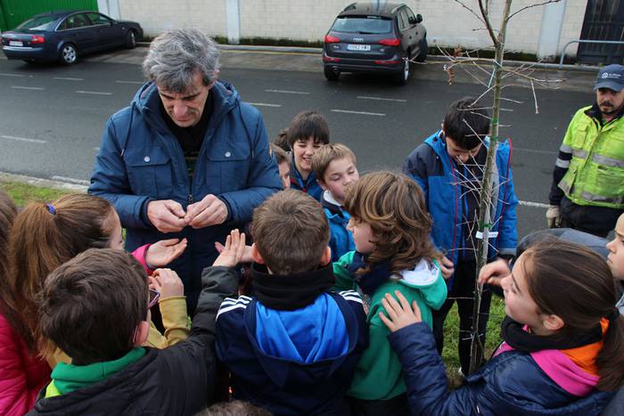 zuhaitz landatzea 2016 tolosa 11 1456503825992