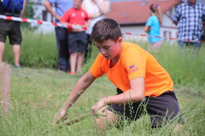 Erabaki dira Euskal Herriko  39 1532870286139