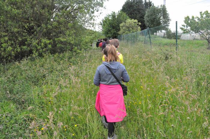 Zizurkilgo hegoaldeko mugarr 11 1621240756574