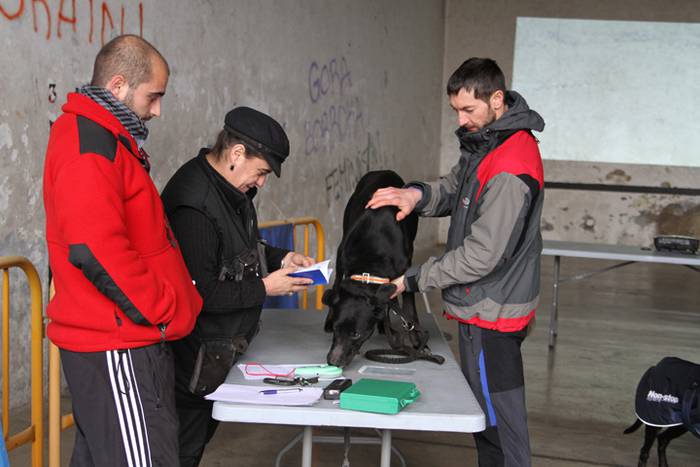 Zizurkil, txakur krosa 2 1490473816095