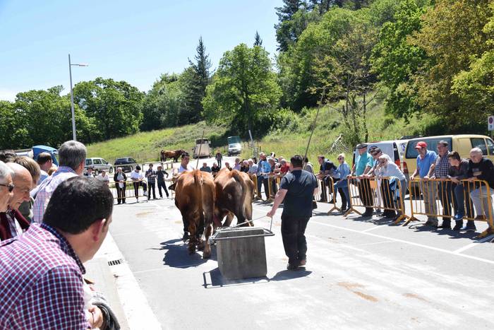 San Isidroez gozatu dute 17 1557925571764