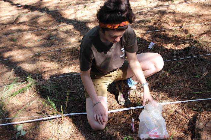 Gerra 6 1562842931110