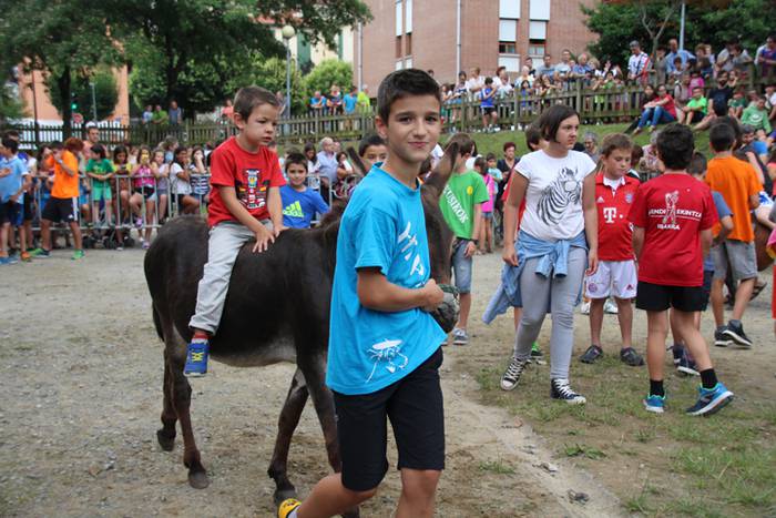 Zezenen aurretik, korrika 15 1469619608386