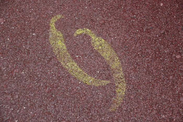 Ibarrako piparraren ibilbide 9 1664026234452