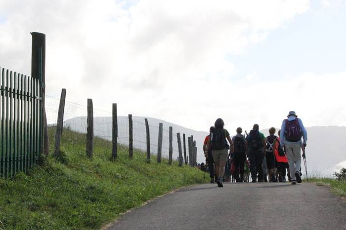 2016 bidea 32 1471775977085