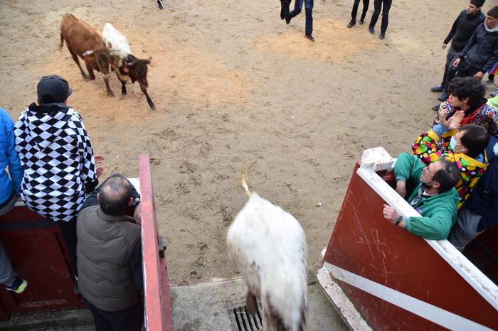 xexenak ostiral mehea 39 1645807735246