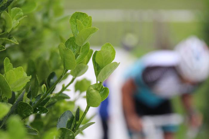 Aldapan gora... inpernuan go 44 1495271620842