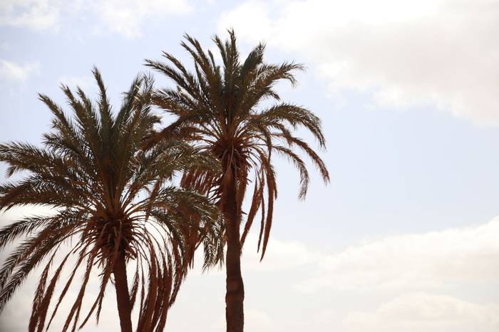 Tolosaldetik Saharako errefu 6 1638802286367