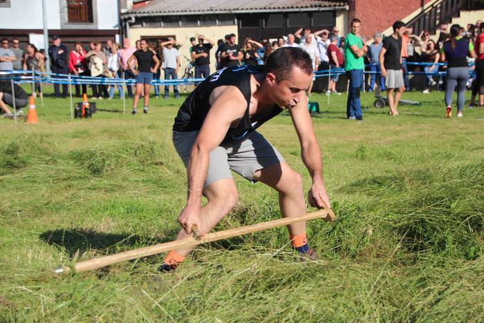 Asteasuko lagunarteko herri  72 1656445502159