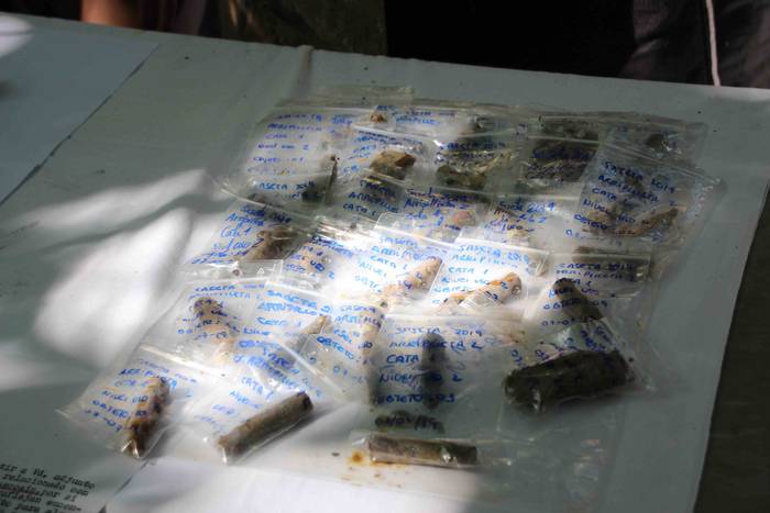 Gerra 12 1562842936824