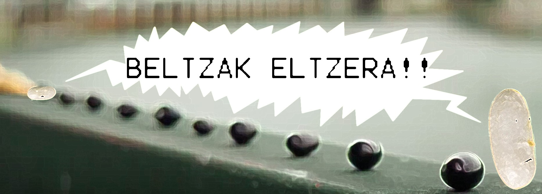 Babarrun zuriak