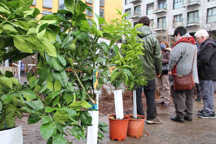 Zuhaitz azoka 2022 6 1645283025216