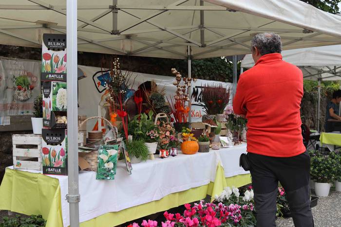 Azoka berreskuratu dute Zizu 21 1633863554879