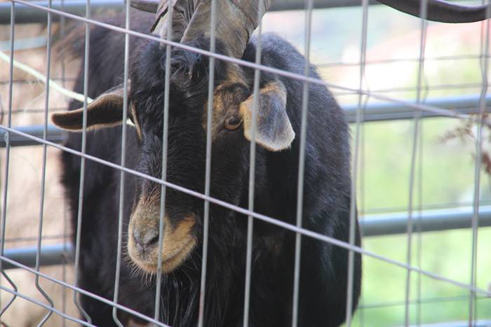 Herritarren salerosketarako  2 1509290134461