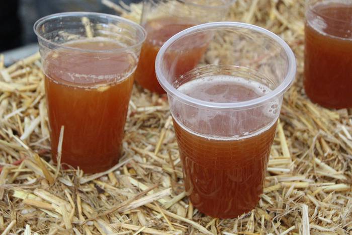 Zuhaitz Azoka Tolosan 2016 20 1456601472966