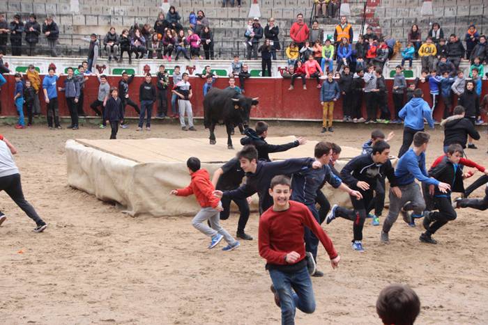 Txaranga eta zezenak piñata  15 1488738810139