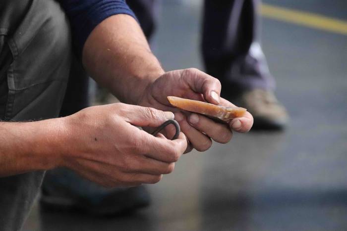 Alkizako San Martinak 2019 17 1573302846049