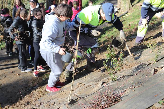 Tolosako ikasleek zuhaitzak  27 1520435589338