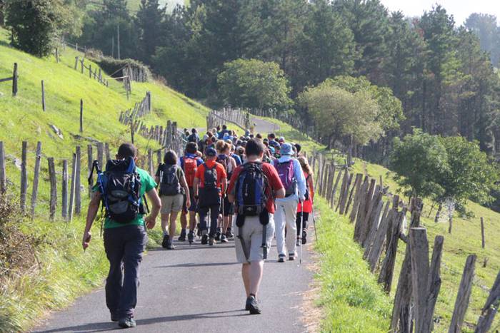 2016 bidea 33 1471775983898