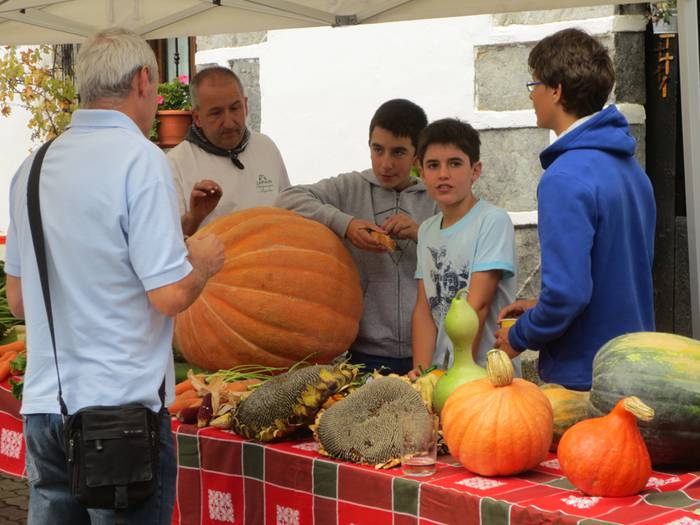 bidania goiatz azoka berezia 2015 2 1443433748803