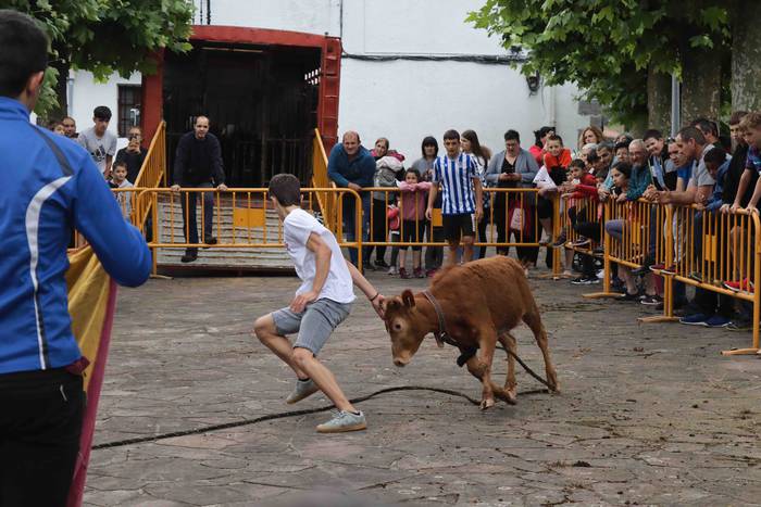 Zezen txikien aurretik 17 1656263618094