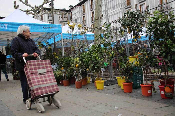 Erein eta zaintzearen magiak 24 1581165942819