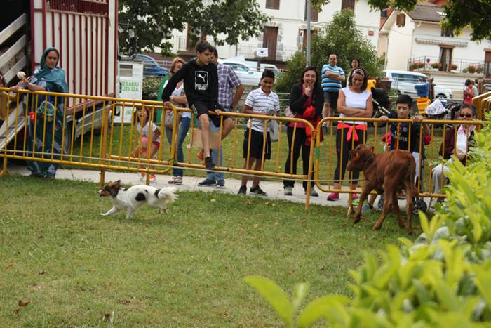 Ikaztegietako Jaiak 2017, um 18 1502457267052