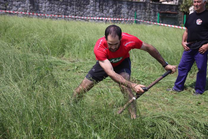 Erabaki dira Euskal Herriko  46 1532870420744