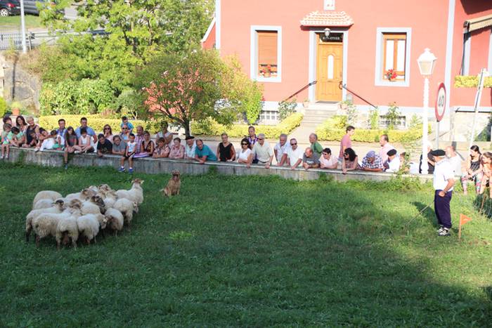 Artzaina eta txakurraren artea Amezketan 22 1472322431419