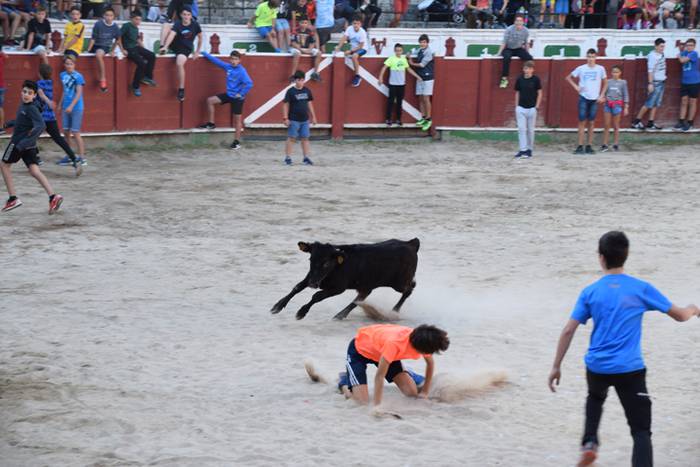 Berazubiko festak 2017, zeze 37 1507822941302