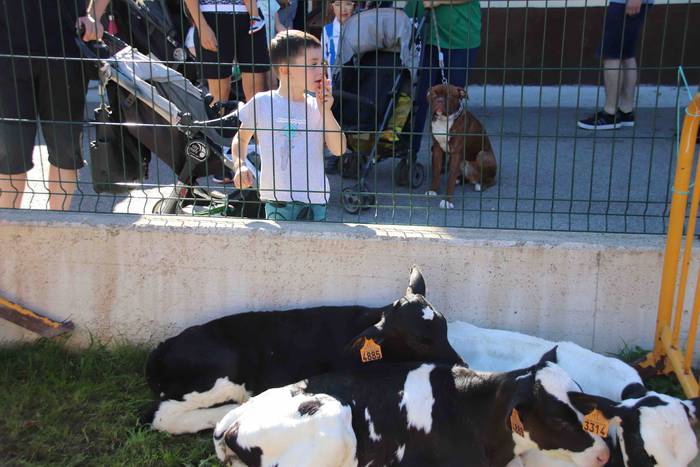 Jendetza elkartu du Asteasuk 32 1569763914388