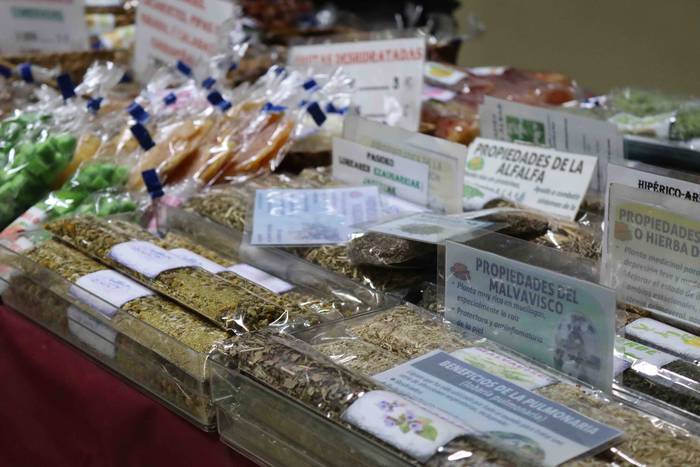 Oholtza gainera igo dira ira 6 1636308510182