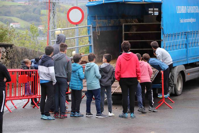 Amasako San Martinak 2019 11 1573305133397