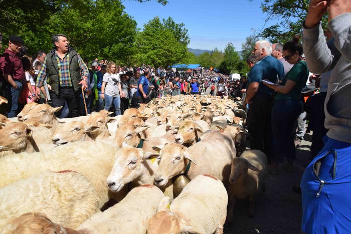 Larrerati dituzte abereak Ar 59 1556716331369