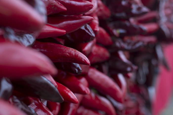 IBARRAKO PIPERRAK BIPER FEST 28 1509469141688