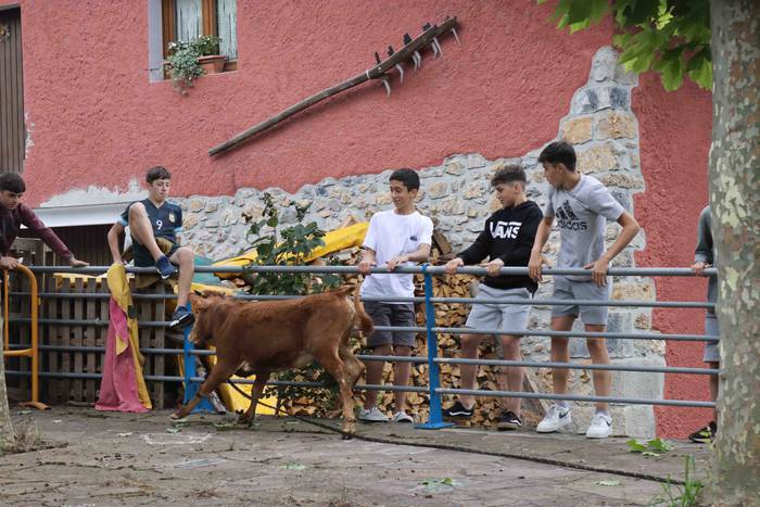 Zezen txikien aurretik 8 1656263614089