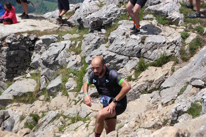 T3T 2022 hernio 50 1655039376749