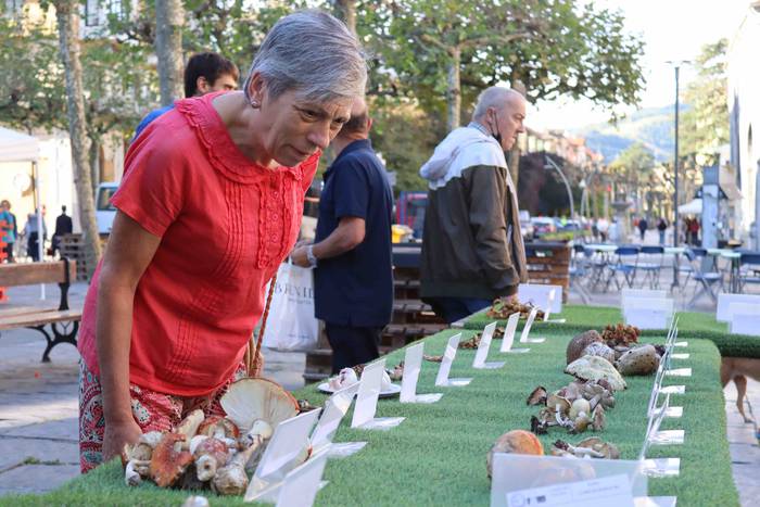 Perretxikoen plaza 1 1666439559002