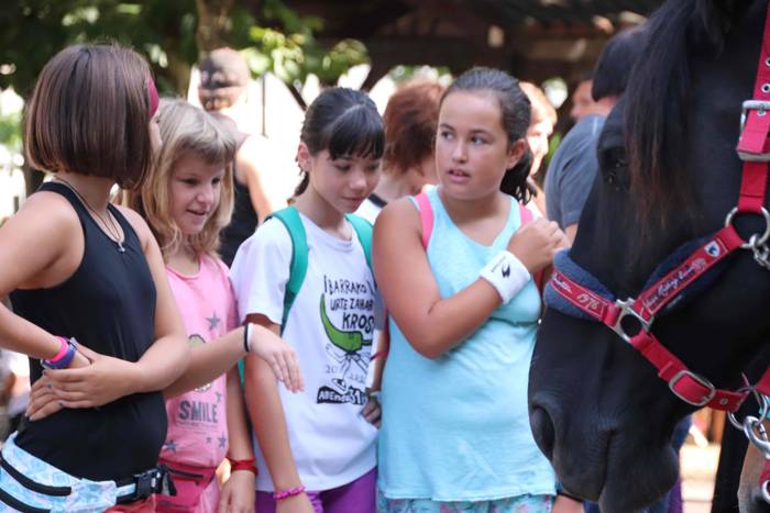 "Ibarra, Azoka eta Piparra" 32 1537102886639