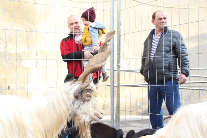 Urteko azken azoka berezia gurtu du Tolosak 6 1481985905486