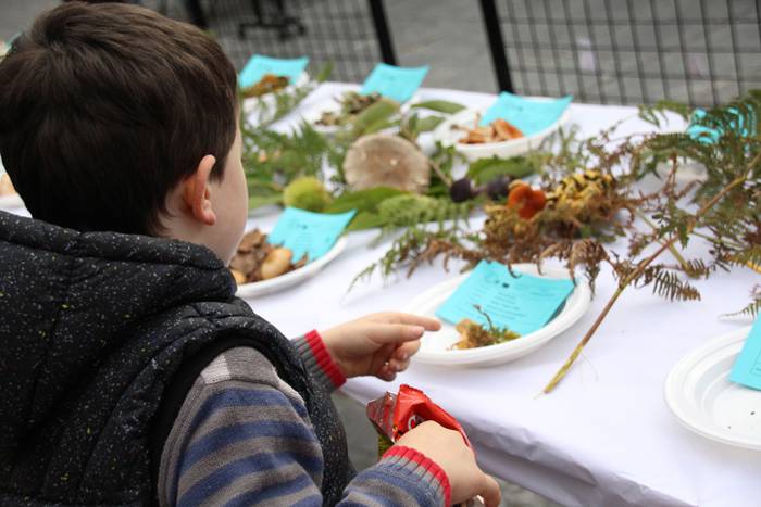 Udazken loreen gurtza 4 1477137471140